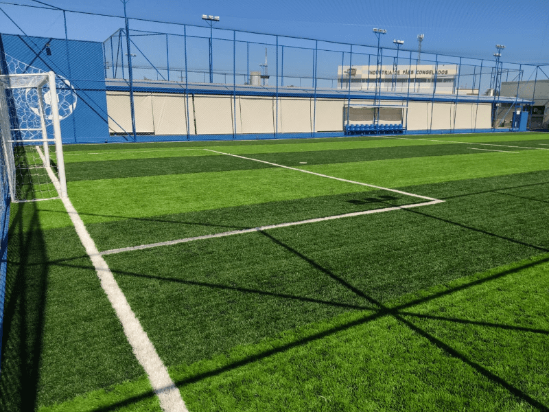 Sports Turf